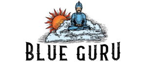 Blue Guru Provider Logo