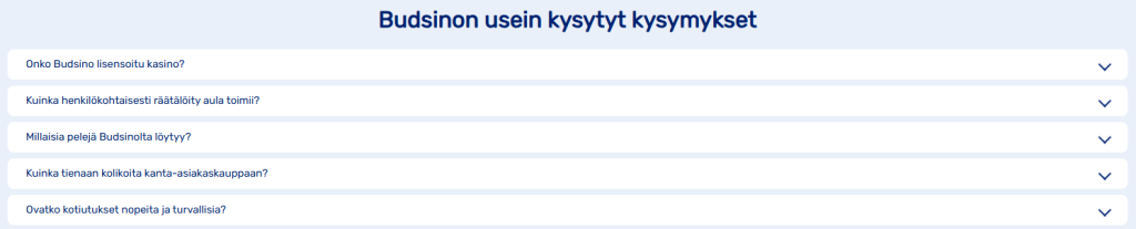 Asiakastuki Budsino Kasinolla