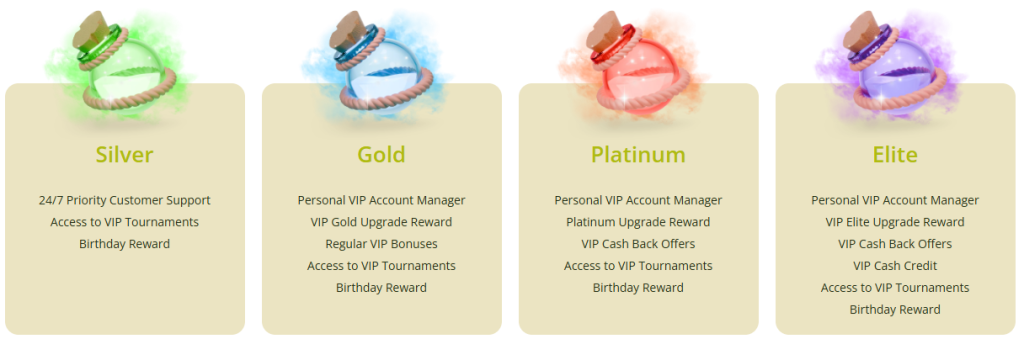 VIP Program and Loyalty Rewards at Lumo