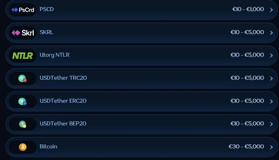 Millioner Casino payment methods including Skrill, Bitcoin and USDT options