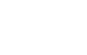 Backseat Gaming Slots Provider Logo