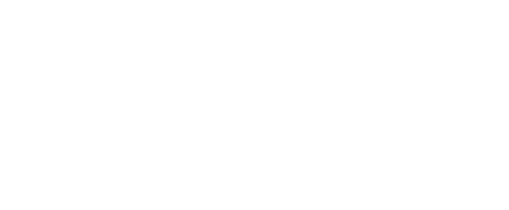 Bluberi Slots Provider Logo