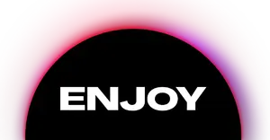 Enjoy Gaming Slots Provider Logo