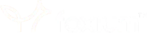 Foxium Slots Provider Logo