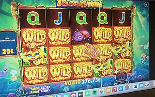 3 Buzzing Wilds – Alawin (276 EUR / 0.20 bet) | Elliiip