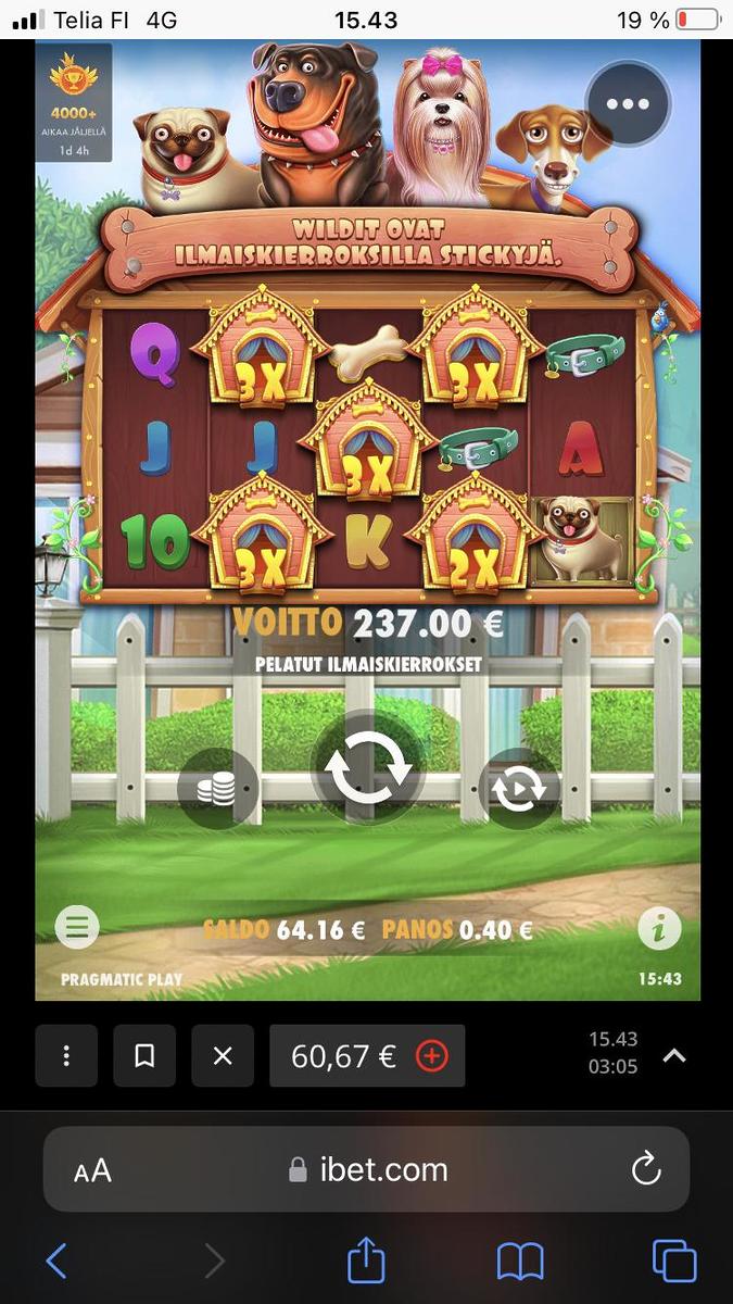 The Dog House slot machine online casino gambling big win