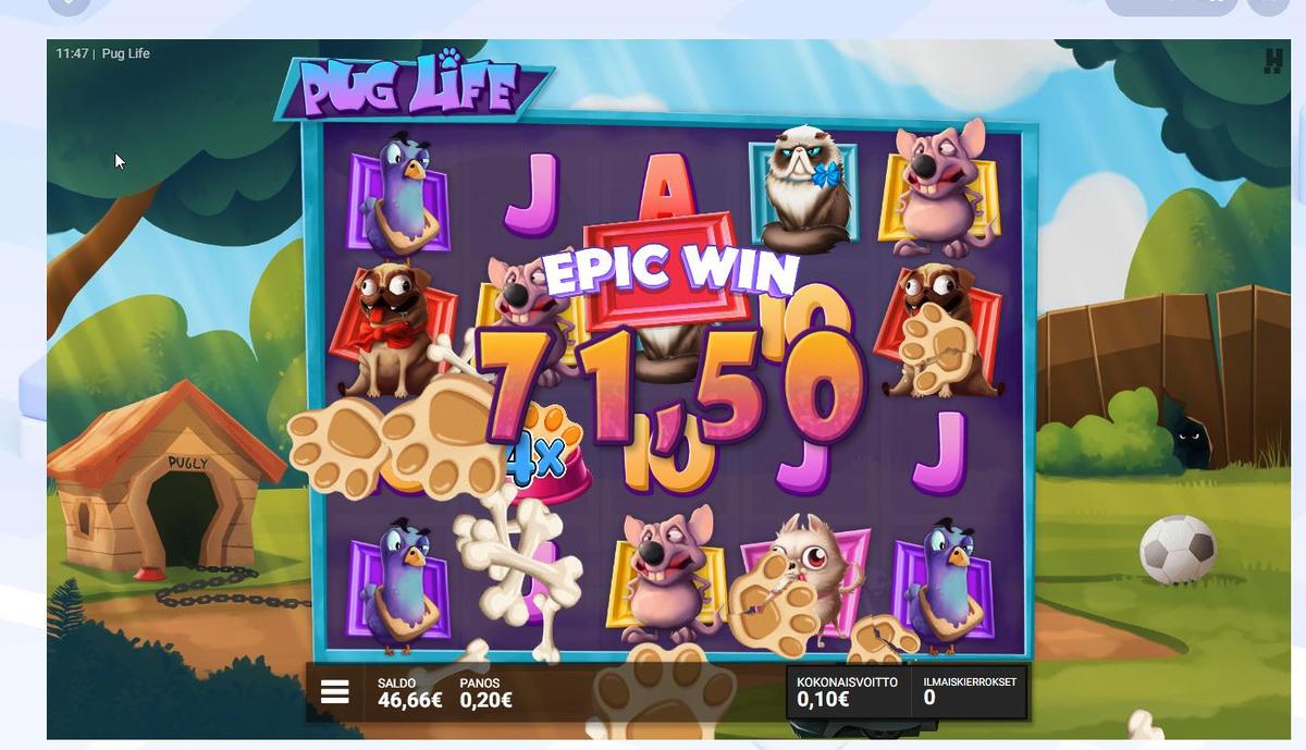 Pug Life slot machine online casino gambling big win