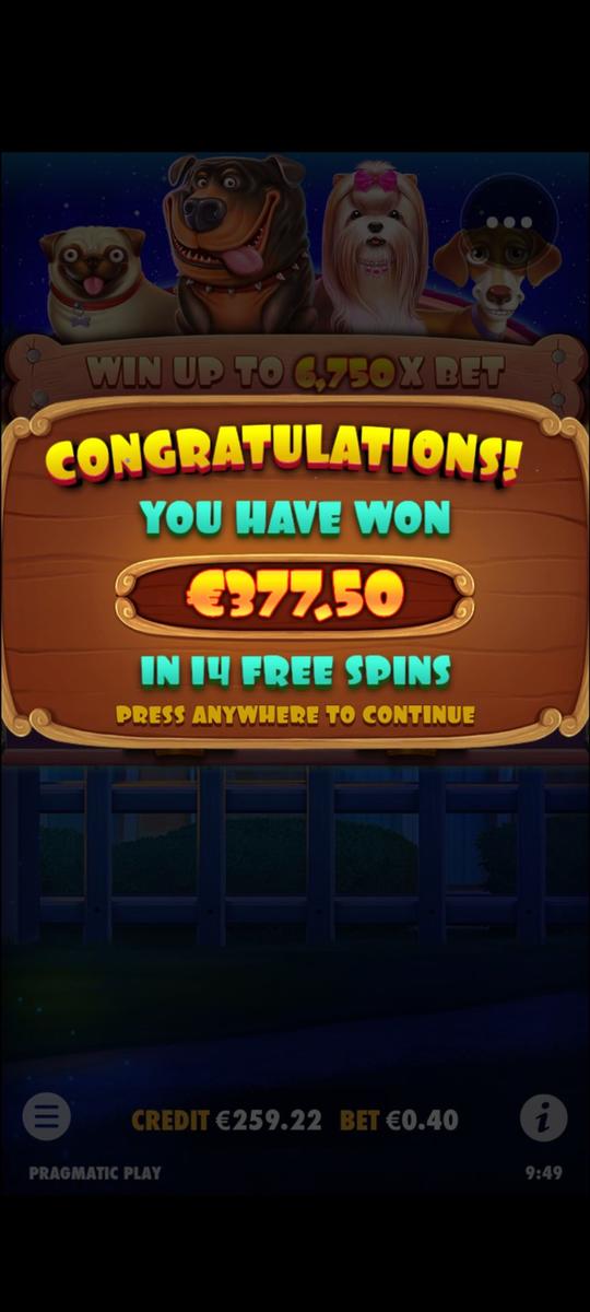 The Dog House slot machine online casino gambling big win