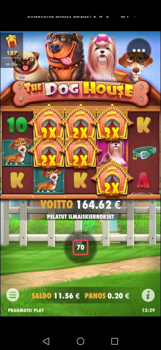 The Dog House slot machine online casino gambling big win
