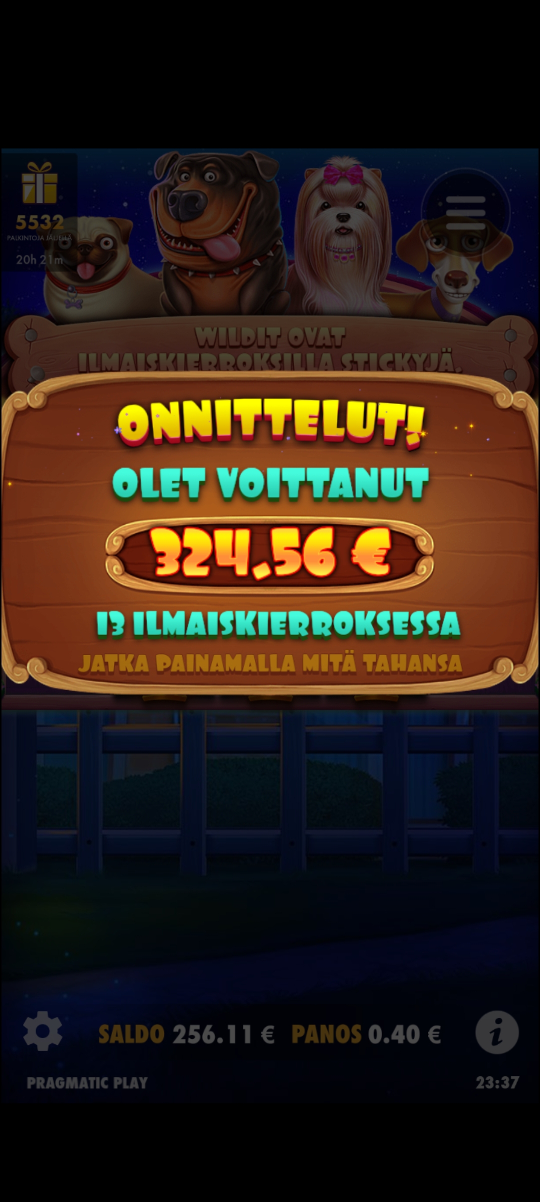 Dog House – AllSpins (324.56 eur / 0.4 bet) | Afrikantahti