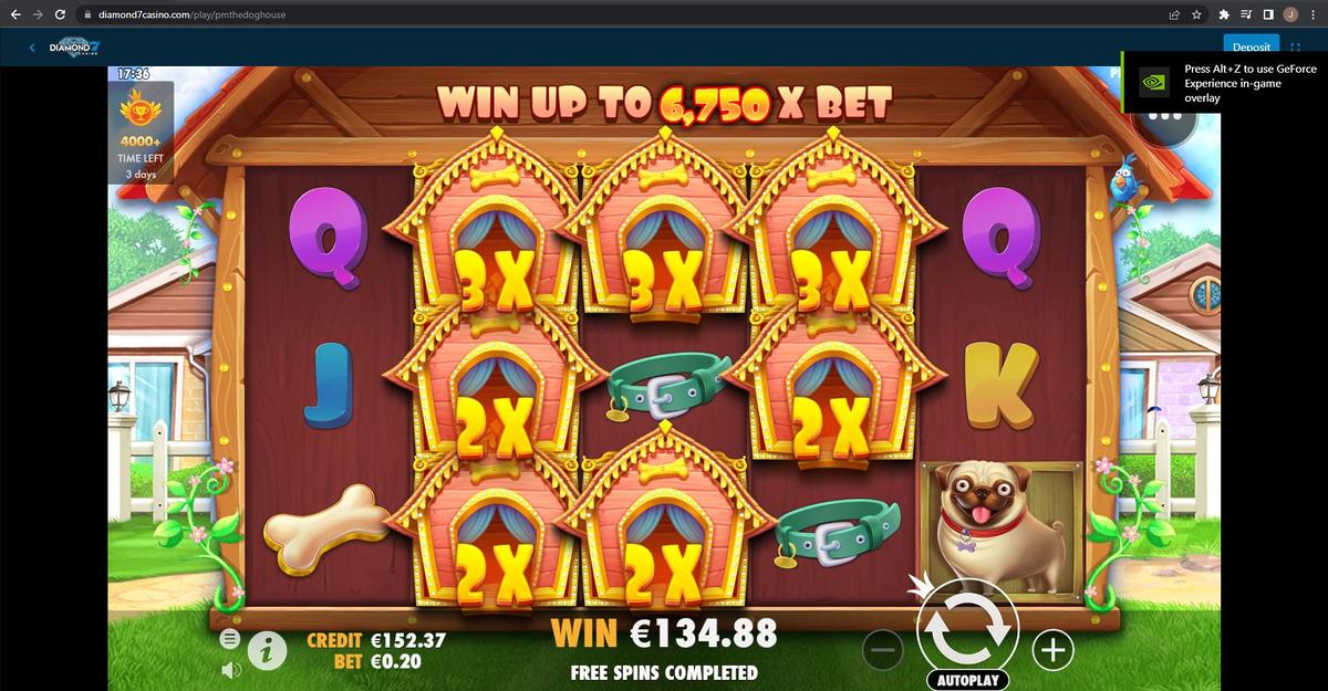 The Dog House slot machine online casino gambling big win